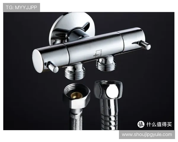 关于PG洁具是哪的牌子，业内专家解析其品牌背景与市场发展现状